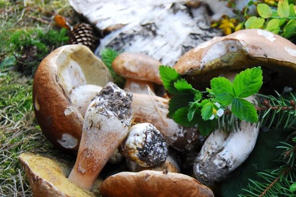 梦到了孩子离世是什么预兆