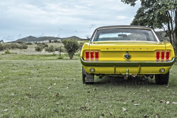 梦见给人吃的什么寓意