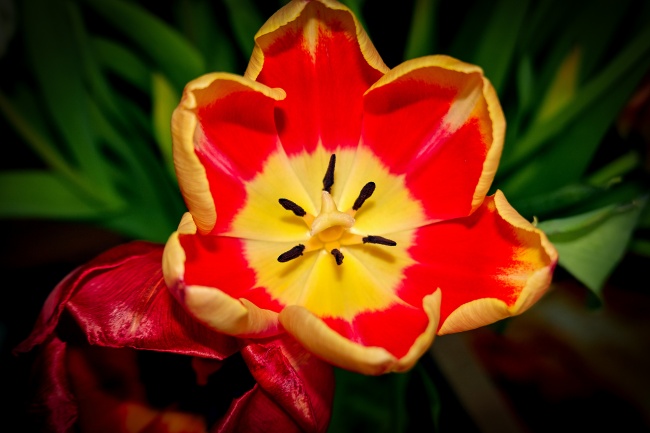 梦见情人离去会是什么预兆