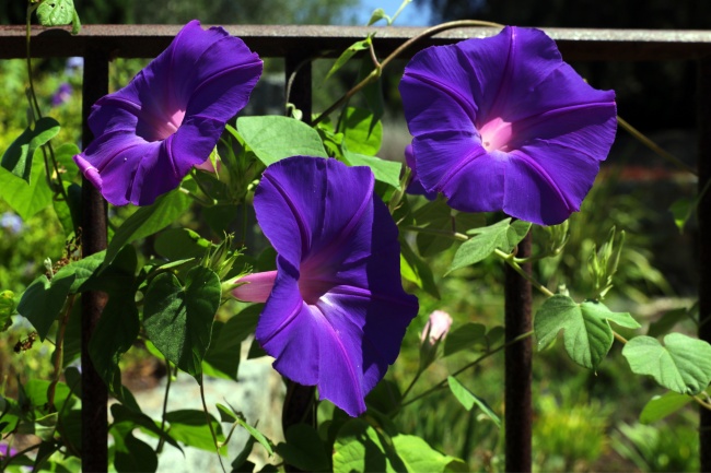 梦见滑雪比赛是什么启示