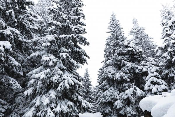 梦到消失了是什么征兆