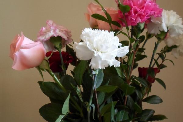 梦到了开门出去有什么意思吗