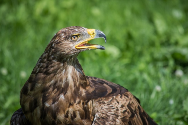 梦到水淹坟有什么意思