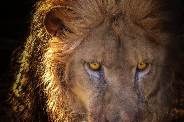 梦到室内装修有何寓意