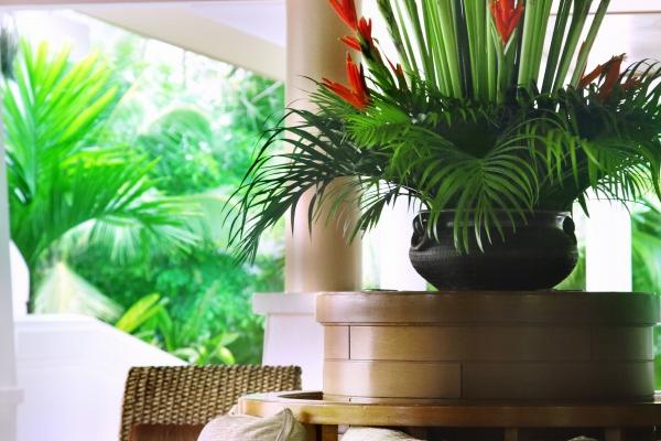 梦到家人去旅游什么寓意