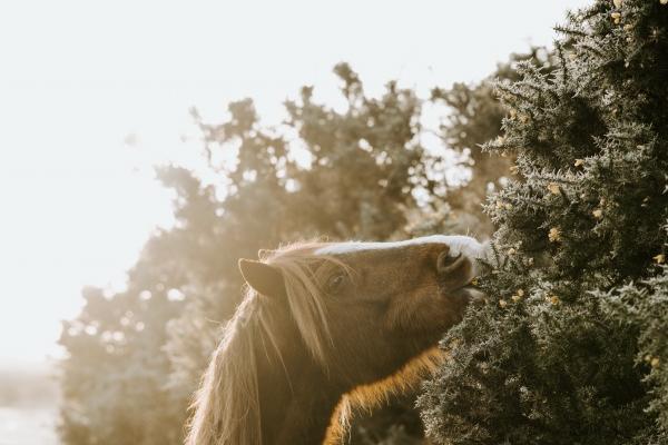 梦到找电车是好事还是坏事