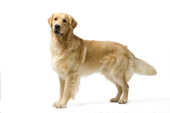 梦到了生孩子会说话是什么预兆