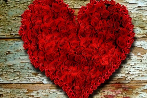 梦到山上玩是好事还是坏事