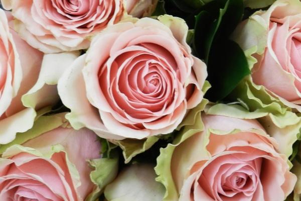 梦到了朋友看病预示什么