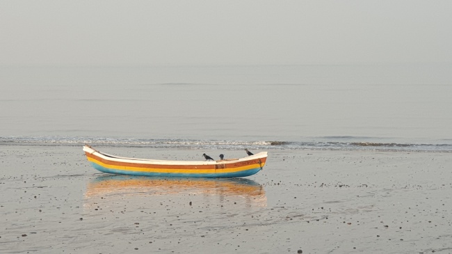 梦见得到古董代表着什么