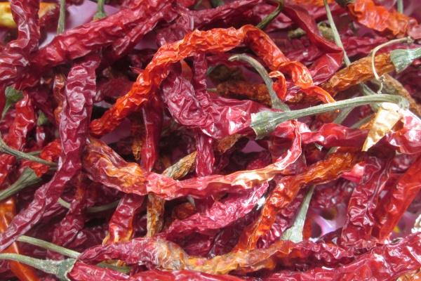 梦到了灵隐寺意味着什么