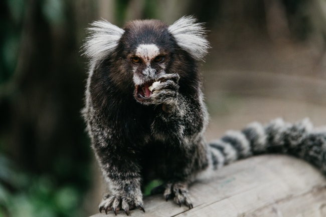 梦到了溜走是好事还是坏事