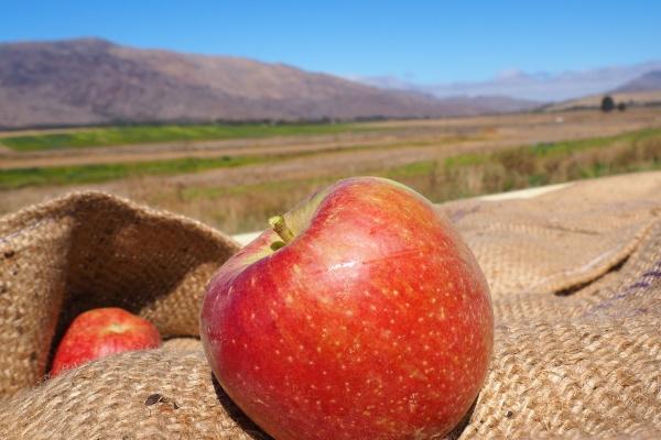 梦到跟男人亲热有何寓意