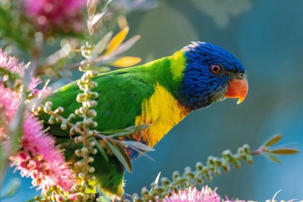 梦到了白纸条好不好