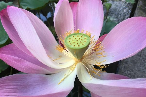 梦到了儿子摔跤了有什么预示吗