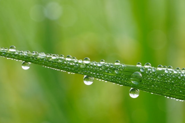 梦到了入场券预示什么