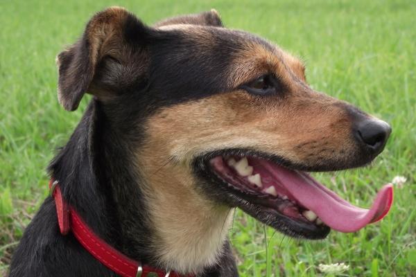 梦到滚下是什么征兆