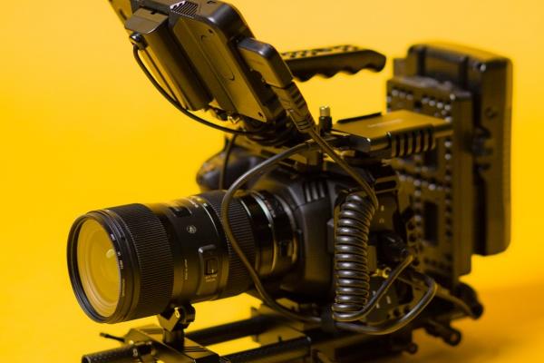 梦到绿蝴蝶有什么意思吗