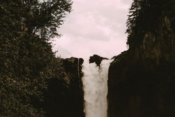 梦见小狗舔我怎么说