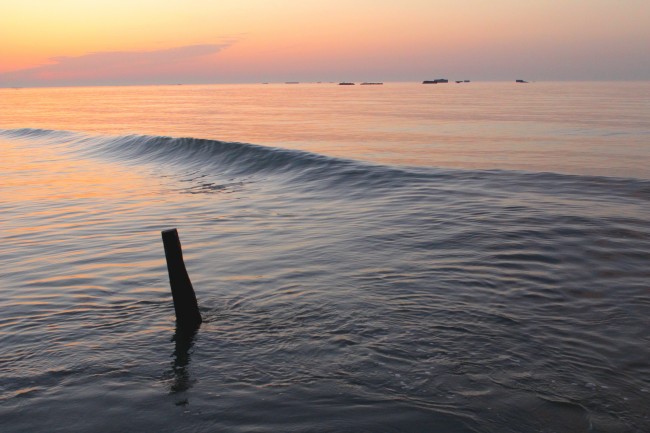 梦见火烧书意味着什么