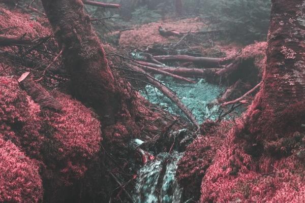 梦到了生病的人病好了怎么样