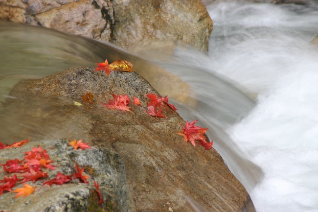 梦到房顶脱落有什么寓意吗