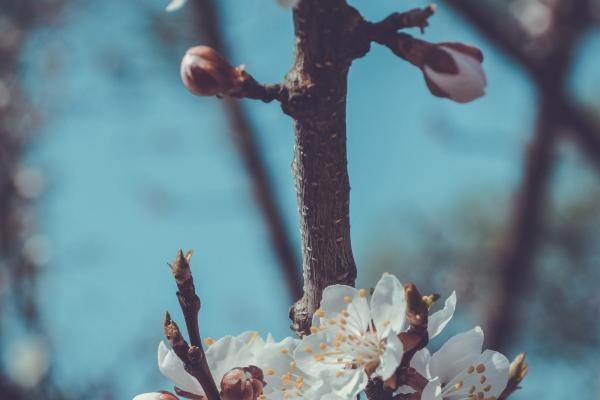 梦到了生孩子肚子疼会是什么预兆