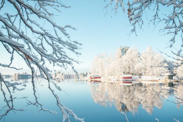 梦到了妈妈吃肉代表着什么?