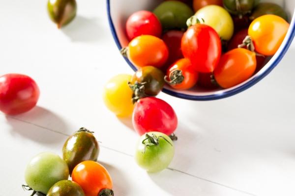 梦到了孕妇狼狗是什么预兆