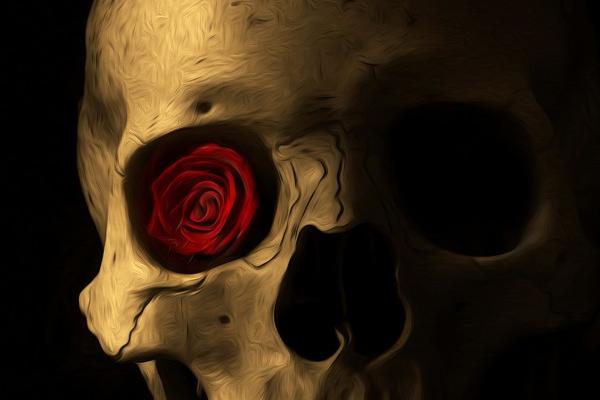 梦见掉后牙是怎么回事