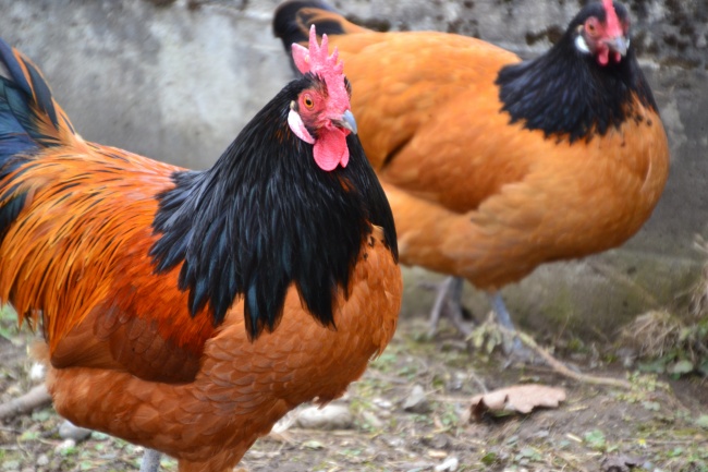 梦到称铊有什么意义吗