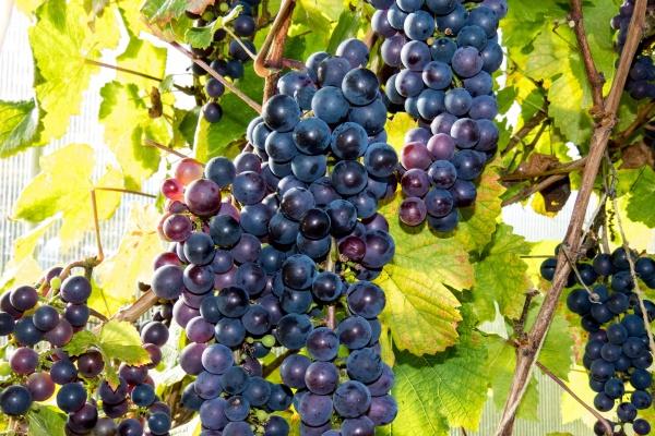 梦见帮女人洗澡有什么寓意吗?