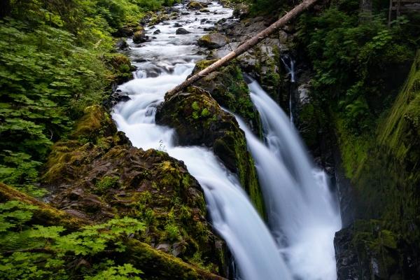 梦到被关在笼子里是啥意思