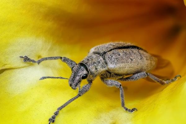 梦到大门锁会是什么预兆