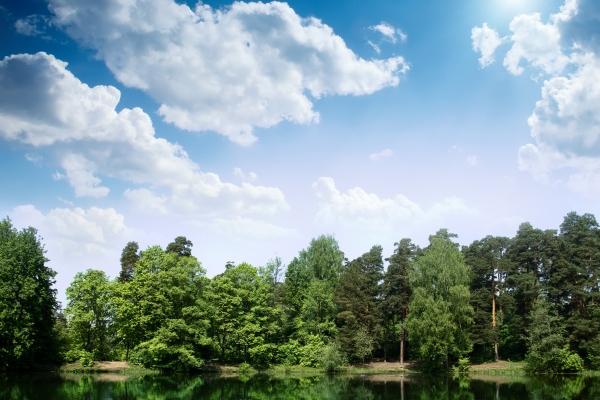 梦到了床被别人睡了什么预兆