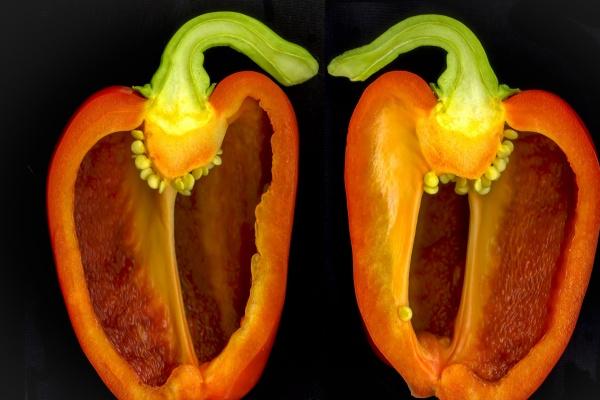 梦到离婚后结婚是啥意思