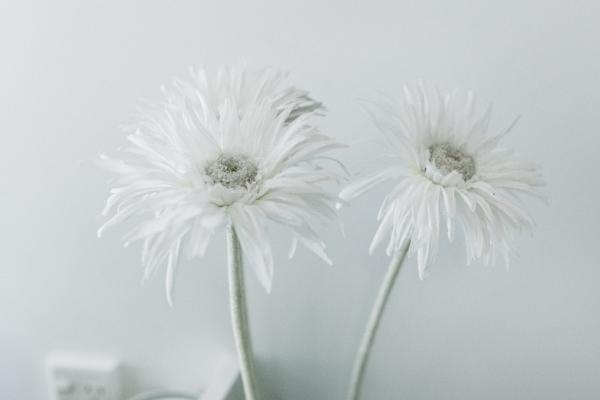 梦见公务人员的预兆