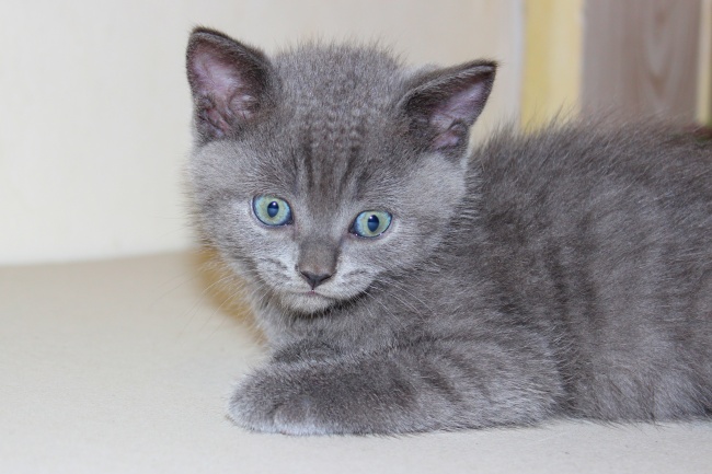 梦到取票是什么意思?