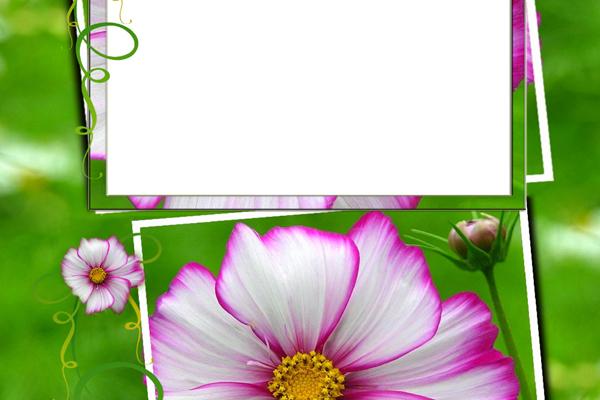 梦到男同学吵架怎么回事