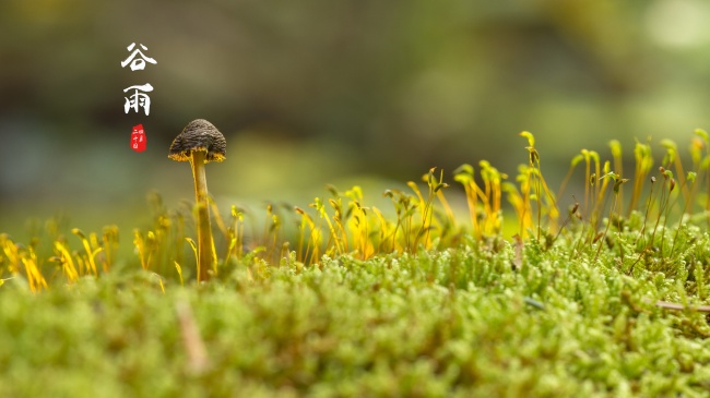 梦到粉色车是吉兆吗?