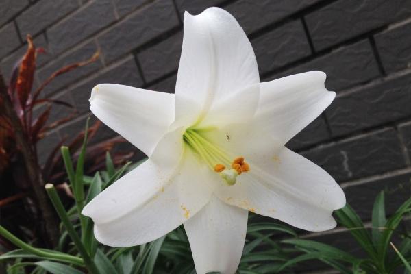 梦到和前任见面是什么征兆