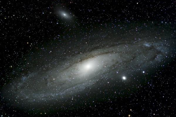 梦到了种月季花什么寓意