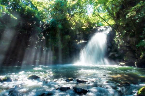 梦到了背蛇意味着什么