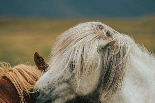 梦见卡车翻车是什么意思