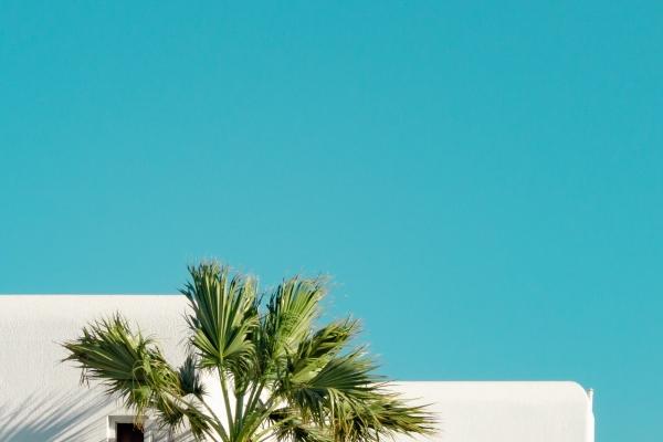 梦见生女孩死了预示什么