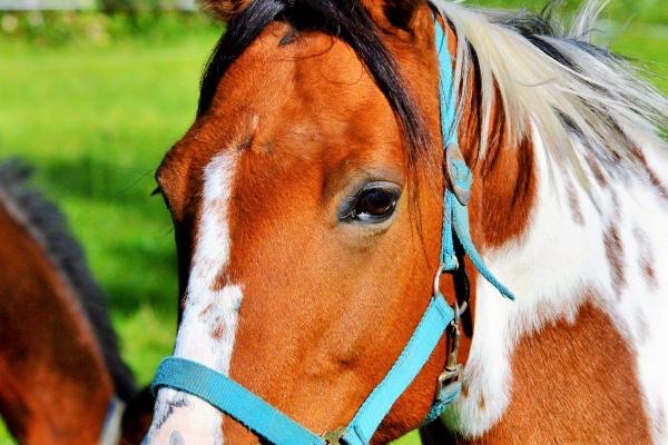 梦见孩子冷是什么预兆?