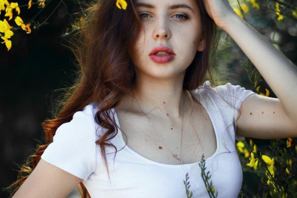 梦见彩色鸡有什么说法