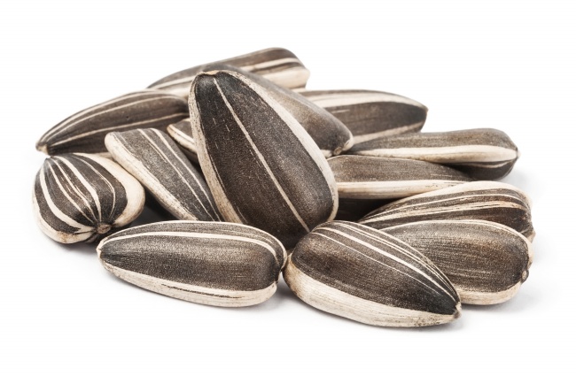 龙走偏财最厉害的时间