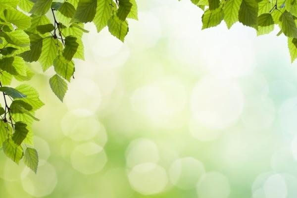 2025龙的最佳贵人