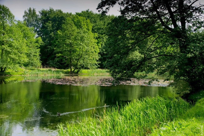 梦见给娃娃喂奶什么寓意